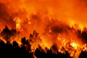 Đang cháy rừng, lửa bốc lên ngùn ngụt bên quốc lộ 1A