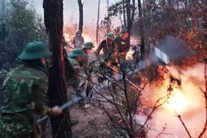 Một phụ nữ bị triệu tập vì nghi đốt rác gây cháy rừng 
