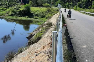 Trại heo ô nhiễm, heo chết: Phạt 320 triệu, yêu cầu khắc phục