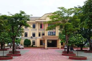 Chủ tịch và 2 phó chủ tịch dùng bằng giả chưa bị kỷ luật