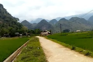 Nghi can sát hại 2 mẹ con ở Nghệ An đã tử vong do ăn lá ngón