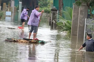 Dân đóng bè chuối đi lại trong vùng lũ