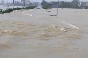 Bị lũ cuốn trên đồng, cha sống sót, con mất tích