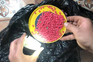 Bắt kẻ vận chuyển 500 viên hồng phiến lao xe vào cảnh sát 