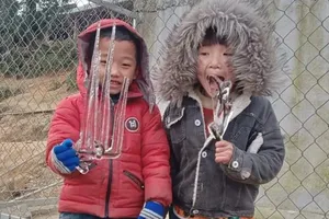  Chùm ảnh: Băng tuyết phủ trắng miền núi xứ Nghệ như châu Âu 