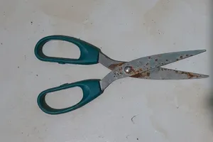 Học sinh 10 tuổi bị nam sinh lớp 8 đâm chết trên đường 