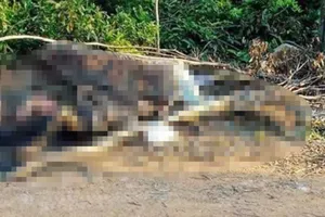 Phát hiện thi thể người đàn ông cháy sém gần nghĩa trang 