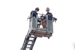 Giải cứu bệnh nhân 38 tuổi định nhảy tầng 2 bệnh viện tự tử