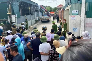 Cảnh sát thu giữ 17 con hổ trong nhà dân ở Nghệ An