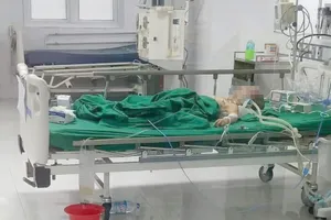 Nhiều người hiến máu cứu bé 6 tuổi bị ong vò vẽ đốt nguy kịch