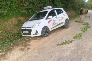 Công an truy tìm nghi phạm sát hại tài xế taxi trên quốc lộ 7B