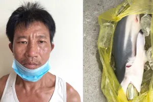 Nhét ma túy vào bụng cá biển vẫn không qua mặt được công an