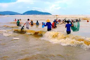 Cảnh sát đang tìm kiếm người đàn ông mất tích trên biển