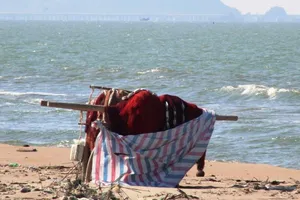 Nghệ An: Đón bà con về quê tránh bão, cấm biển từ 0 giờ 10-10