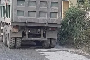 Nghệ An: Hai vợ chồng 70 tuổi, bị xe tải tông tử vong