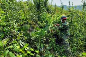 Người đàn ông mất tích bí ẩn: Tìm thấy thi thể trong rừng