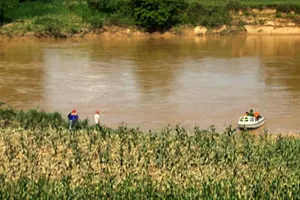 Tìm thấy thi thể nữ nhân viên kế toán bệnh viện trên sông Hiếu