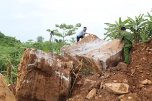 Nhóm người đào núi khai thác đá quý ở Nghệ An