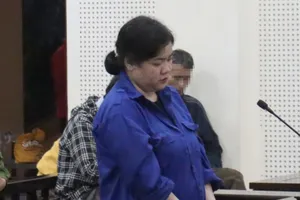 Nữ giao dịch viên lừa 27 người dân bị phạt tù chung thân