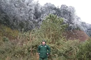 Bất ngờ tuyết phủ trắng miền núi Nghệ An như trời Tây