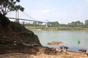 1 phụ nữ gieo mình xuống sông Lam, thoát chết hi hữu 