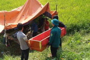 Máy gặt lúa bị lật làm 1 nông dân tử vong