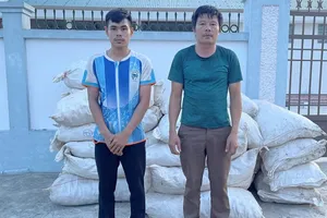 Phó Thủ tướng gửi Thư khen vụ bắt 2,5 tấn vảy tê tê và 2,1 tấn gỗ trắc