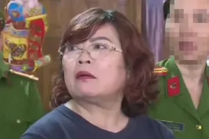 Lý do nữ giám đốc ngành gỗ ở Nghệ An bị khởi tố tội buôn lậu