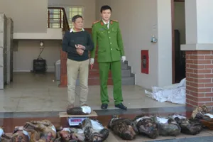 Mua beo đốm, xác khỉ chuẩn bị đón Tết thì bị bắt 