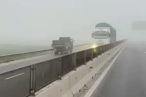 Tài xế chạy xe ngược chiều trên cao tốc bị phạt 7 triệu, tước bằng 6 tháng