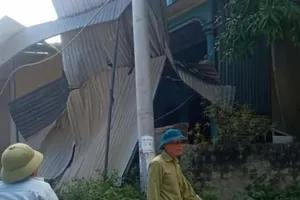 Lại sụt đất bất ngờ làm sập tường nhà, người dân miền núi Nghệ An lo lắng