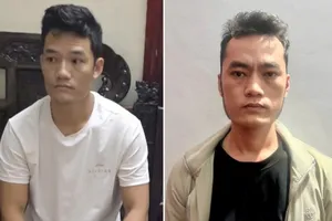 Hành trình triệt xóa đường dây đưa vảy tê tê từ TP.HCM về Nghệ An