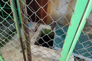 Thương tâm: Học sinh 5 tuổi tử vong trong bể chứa nước của nhà trường 