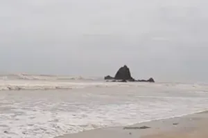 Lấy mẫu ADN để tìm tung tích nạn nhân trôi dạt vào bờ biển