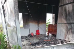 Người dùng điện thoại khi đang gặt lúa, bị sét đánh tử vong 