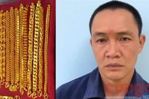 Trộm 592 chỉ vàng từ 7 năm trước, nay bị phạt 14 năm tù