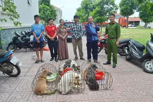 Nhóm trộm hơn 2 tấn chó bị bắt, người dân vui khi nhận lại thú cưng