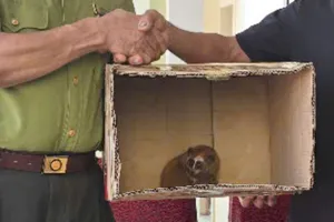 Thấy thú lạ vào nhà ngày rằm tháng 7, người dân báo công an