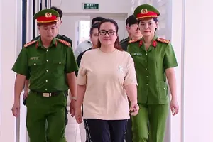 Khởi tố Hoàng Hường và 5 người khác vì vi phạm quy định về kế toán