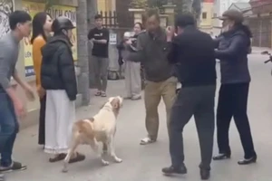 Tạm giữ hình sự 2 cha con thả chó cắn người 