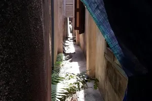 Hủy án vụ khoảng hở rắc rối giữa 2 nhà hàng xóm