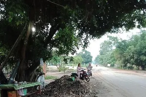 Công an Tây Ninh nói gì về việc khai quật tử thi bà mót mì?