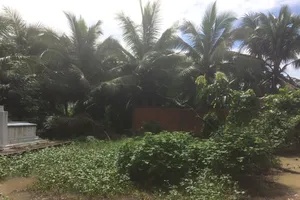 Tạm ngừng phiên tòa vì chứng cứ quan trọng chỉ có bản phôtô