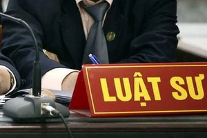 Luật sư bị tước giấy phép hành nghề khi nào?