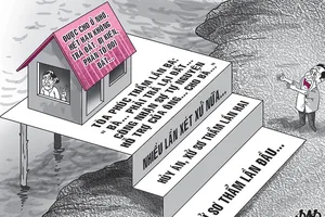 Hủy hai bản án tranh chấp đòi nhà, đất cho ở nhờ