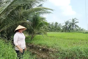 VKS thông tin vụ chấp hành viên làm sai, dân lãnh đủ