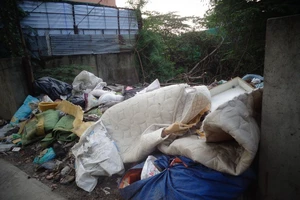 Giảm mạnh mức phạt về việc tiểu tiện không đúng nơi quy định