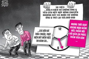 Đang xem xét kháng nghị giám đốc thẩm có được hoãn thi hành án?