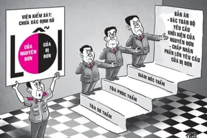 1 vụ án, cả 3 cấp tòa đều xử không chuẩn