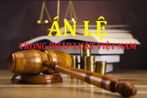 6 dự thảo án lệ về hình sự đang được lấy ý kiến